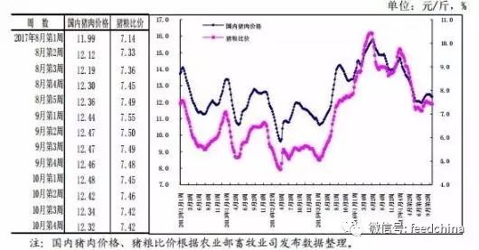 武平最新猪价动态分析