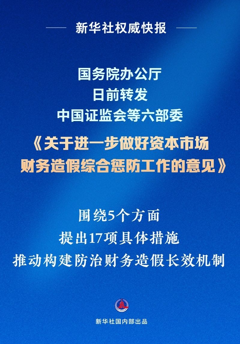 政府最新发文，引领未来发展的重要策略和方向