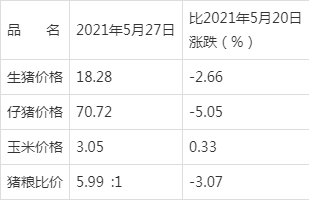 辽监最新排名，揭示东北地区的监管力量与态势