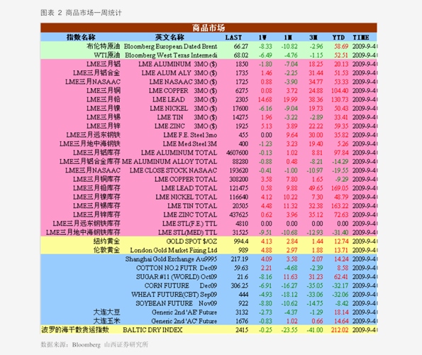 美国大选最新动态与影响分析