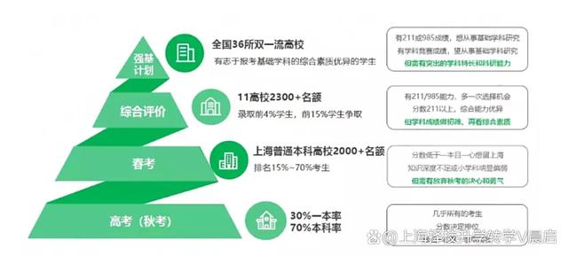 上海学区梯队最新动态，重塑教育生态，引领未来教育潮流