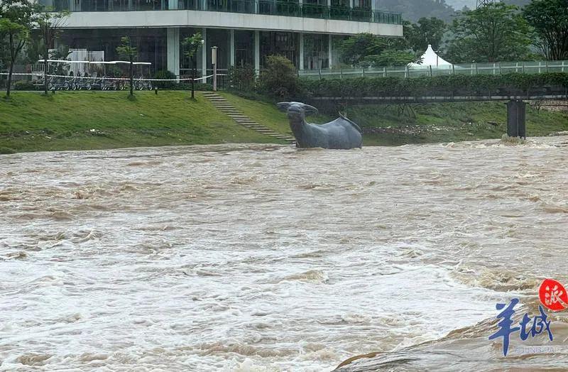 广东最新暴雨消息，暴雨来袭，全省进入紧急应对状态