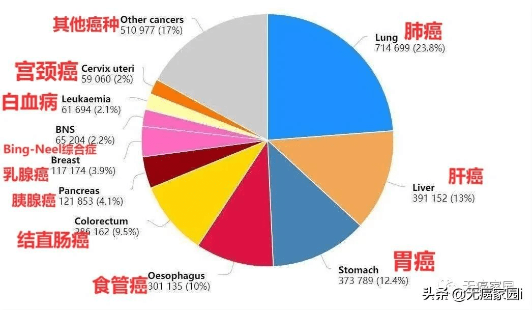 疾疾最新数据，揭示疾病防控的新进展与挑战