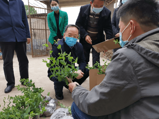 刘猴最新疫情动态分析