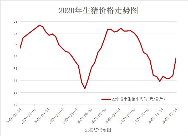 生猪今年价格最新动态分析