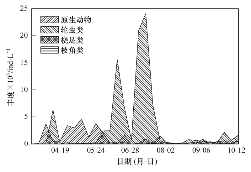 封盟令最新动态及其影响