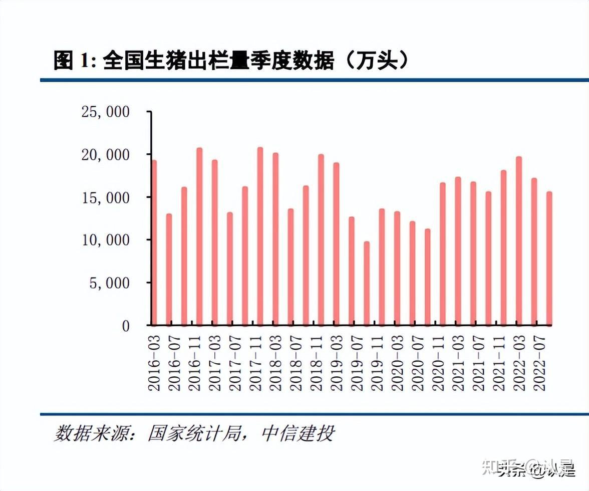 叶县最新猪价动态分析