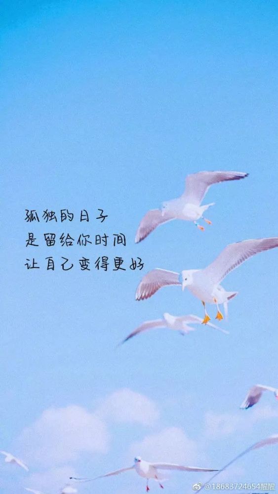 微信说说图片最新，探索与分享的魅力