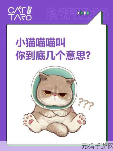 喵喵最新搜索，探索与发现的时代